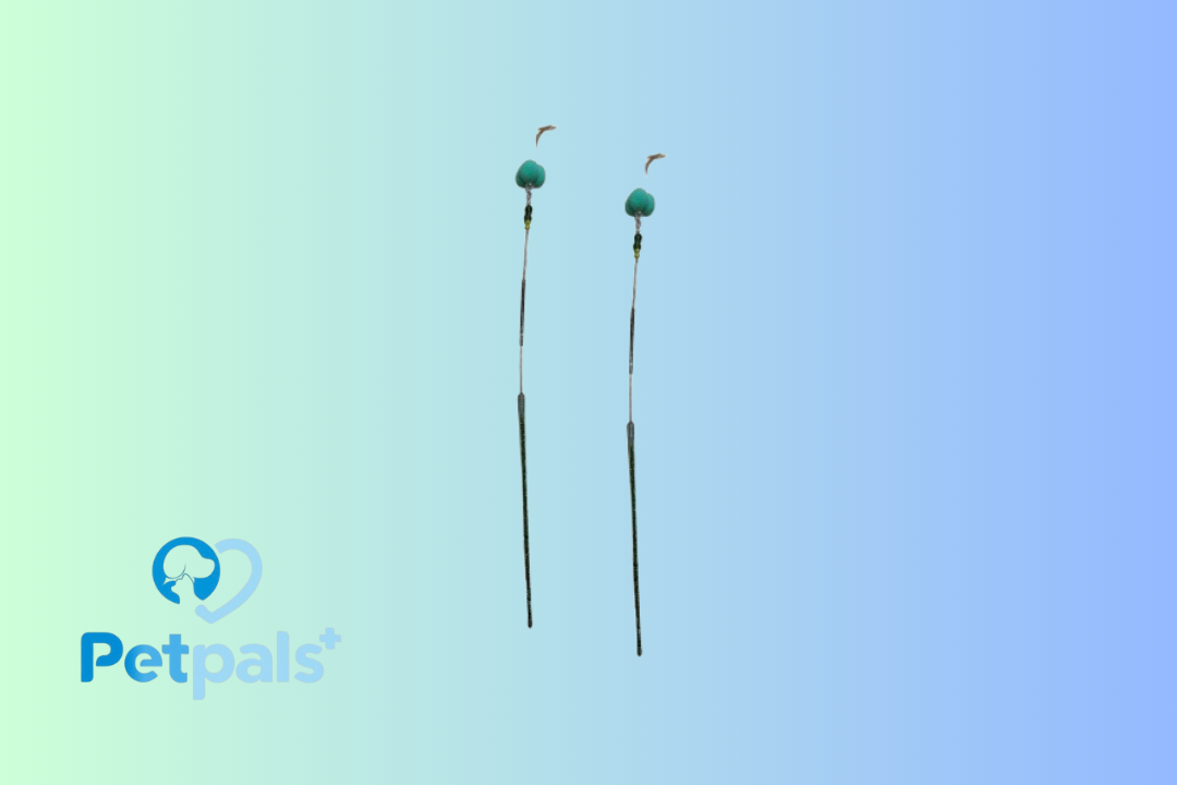 Mame Wand 3BF Natural 60CM Toy